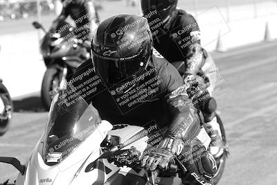 media/Feb-23-2025-2WTD (Sun) [[9604a77d5d]]/1-Around the Pits/